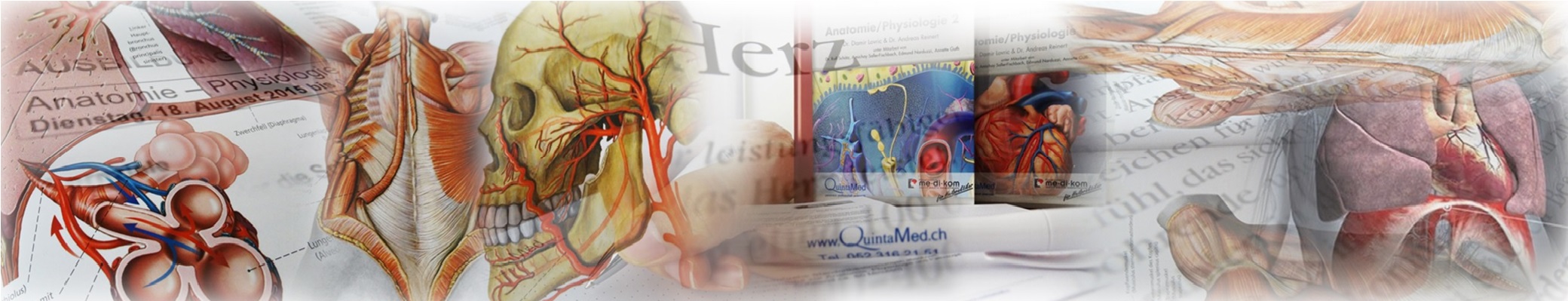 Anatomie_header.jpg